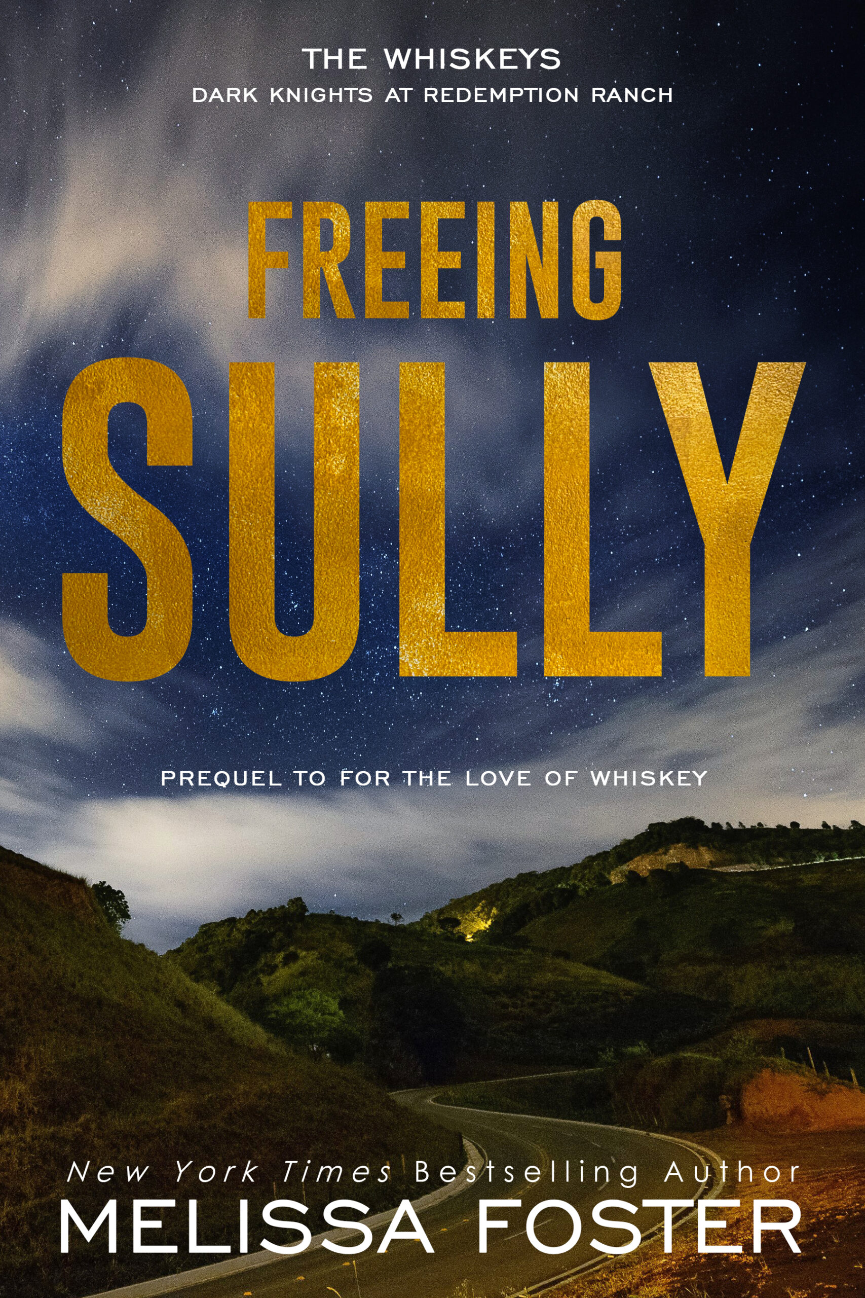 Freeing Sully paperback by Melissa Foster